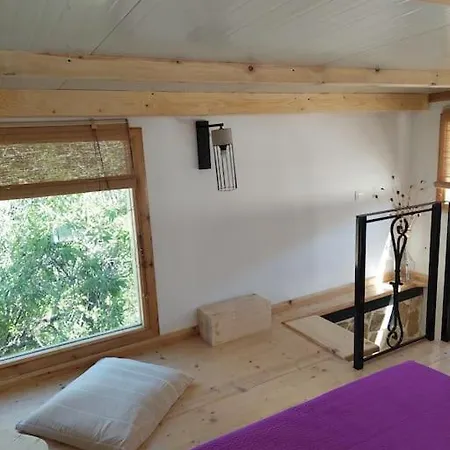 Gruene Haus بيت للعطل *